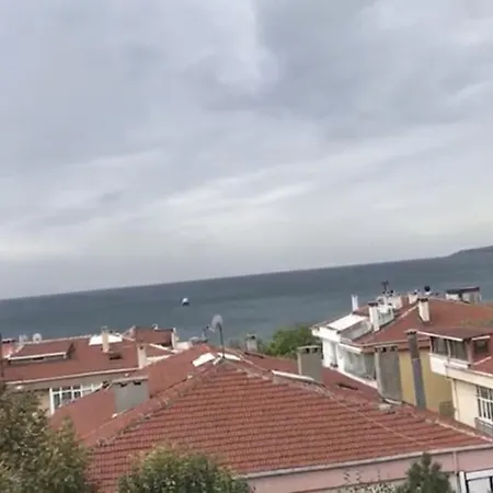 Suguen3 *